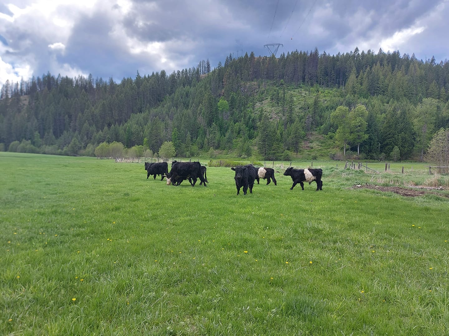 Santa Rosa Ranch - Home