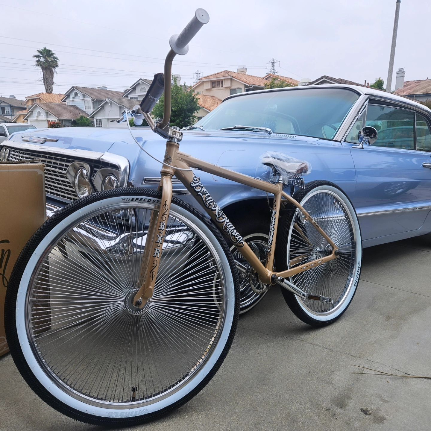 Throne X Mister Cartoon X Born & Raised 29” Bike is the hottest
