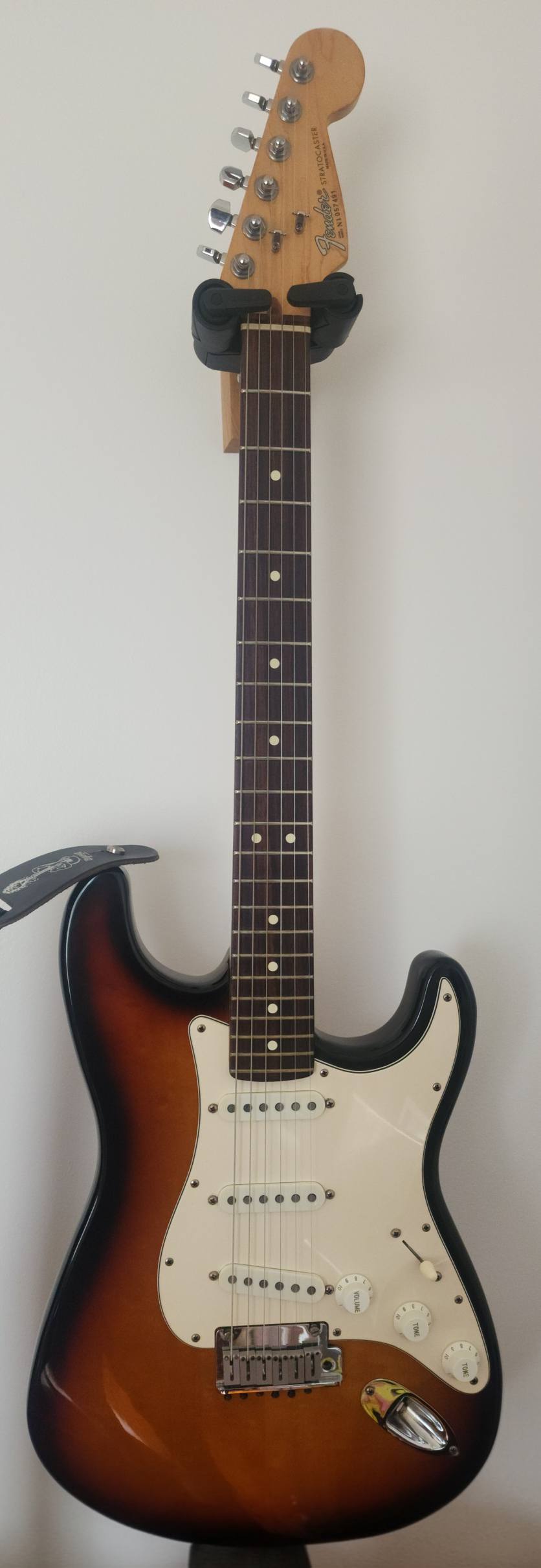 Fender stratocaster guitar collection