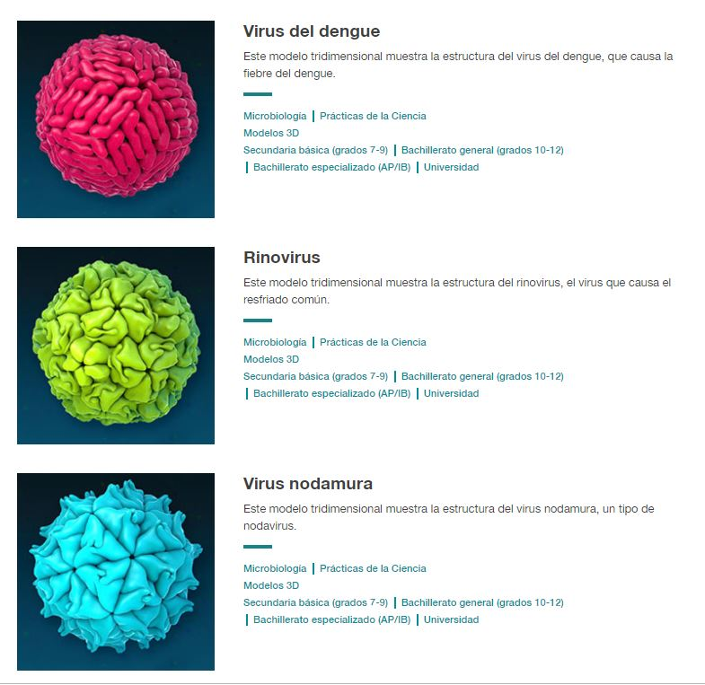 BioInteractive - Los virus consisten de material genético rodeado por ...