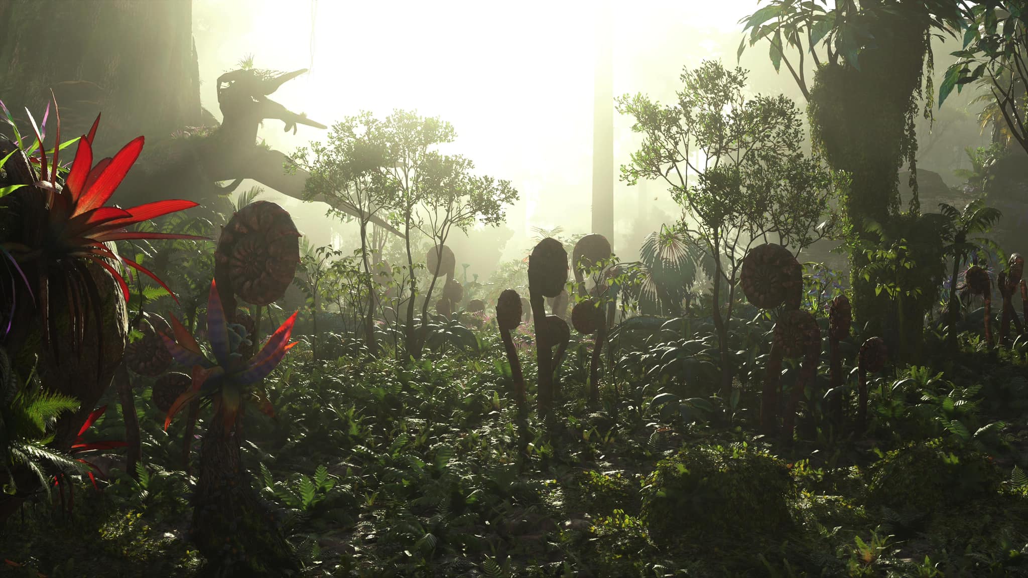 AVATAR: FRONTIERS of PANDORA | New to this group, so here’s a photo ...