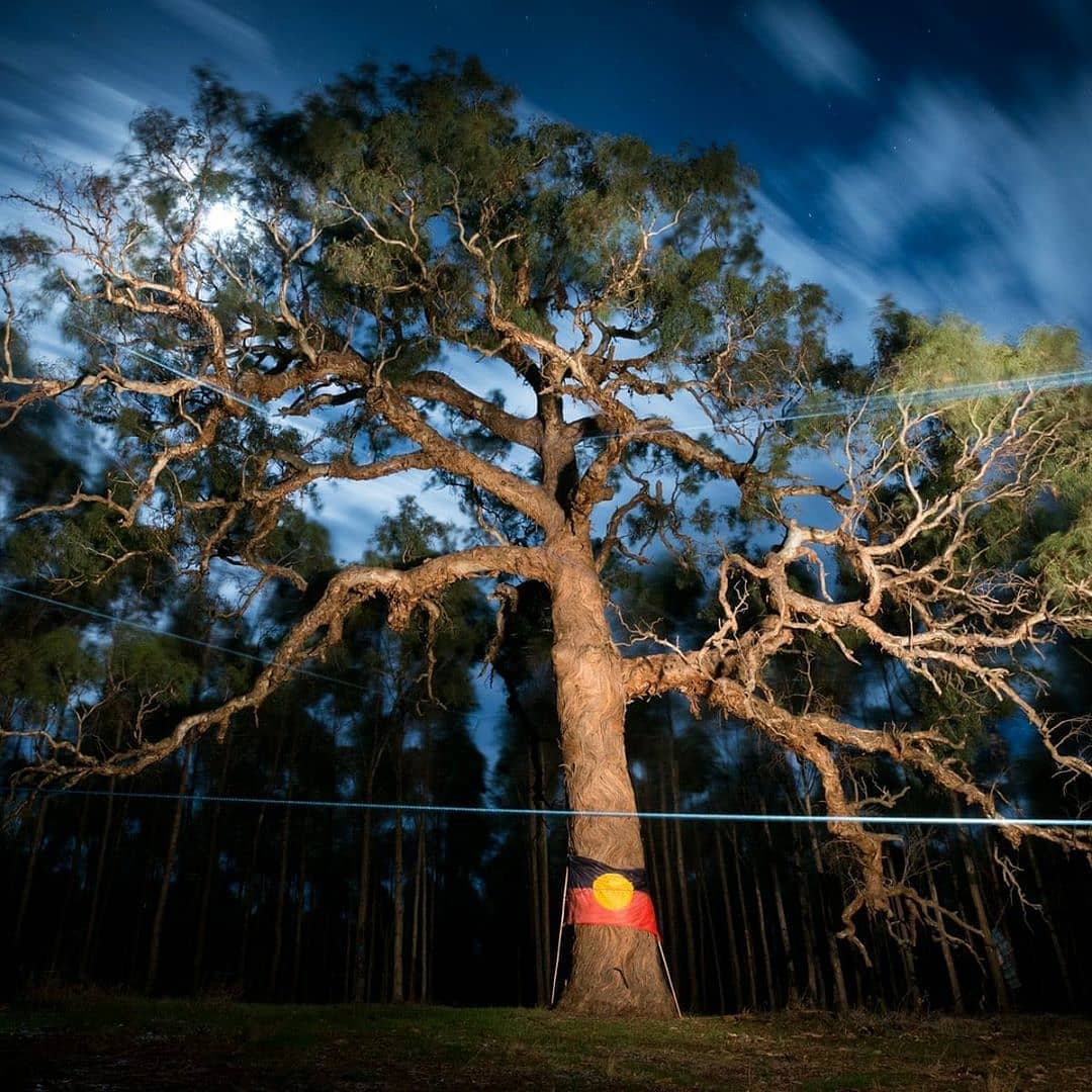 Body Positive Yoga Australia - #Repost @jo.buick of a sacred tree of ...