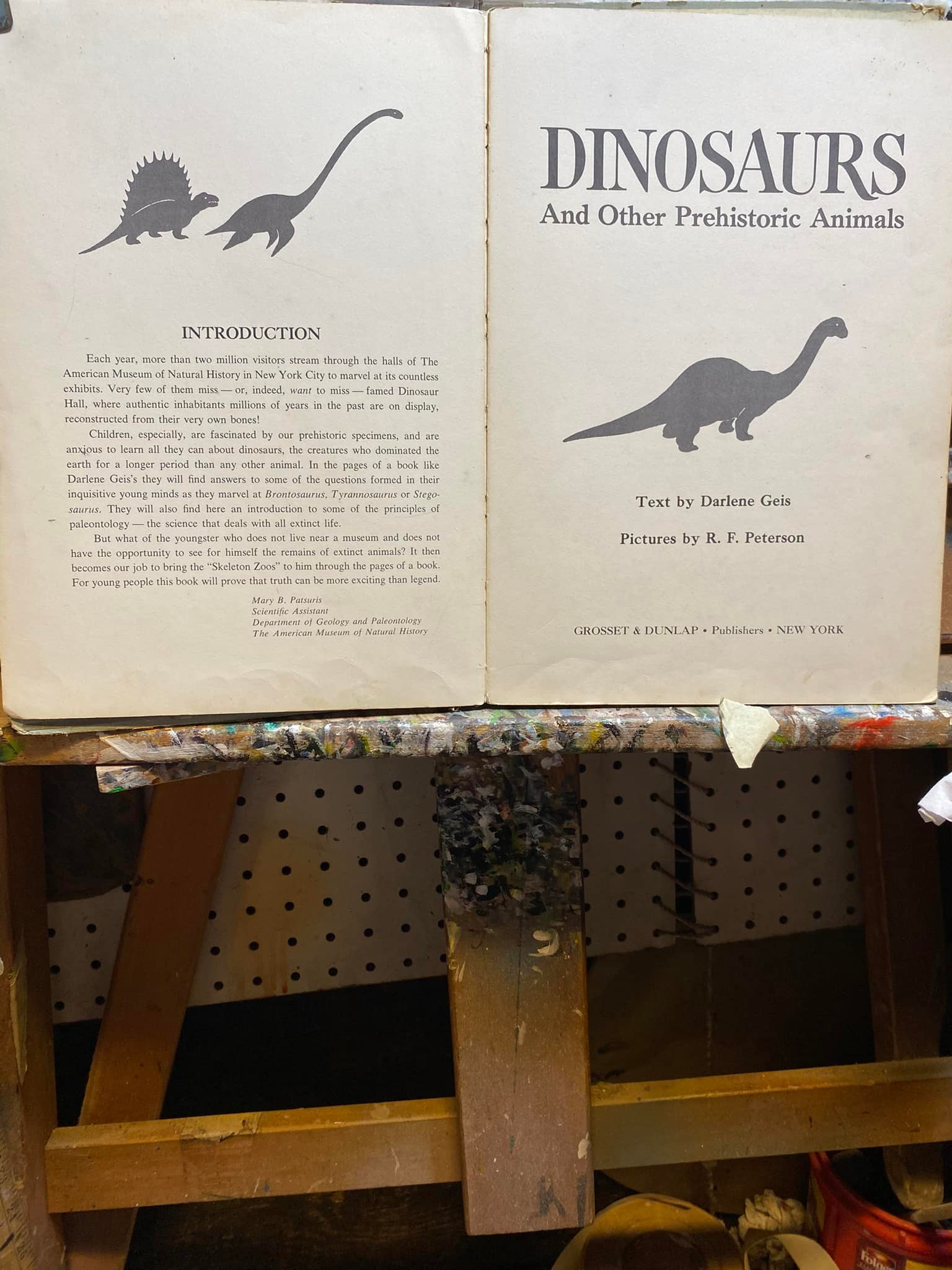 Vintage 1959 dinosaur book: 'DINOSAURS And Other Prehistoric