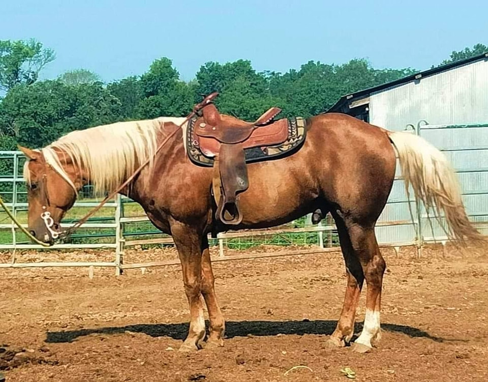 Here is an album of our current... - Flat Bottom Ranch | Facebook