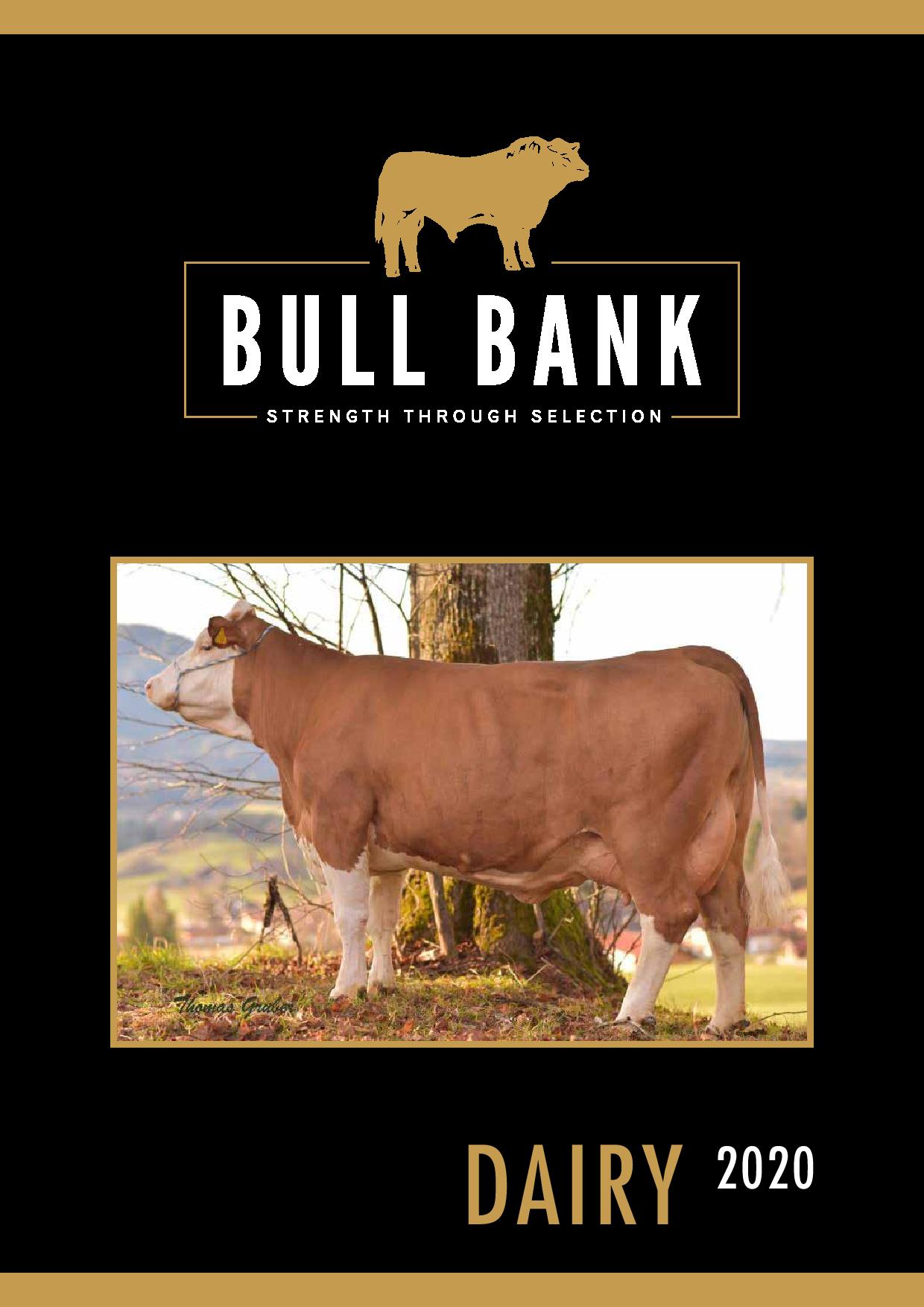 BullBank - NEW DAIRY Catalogue Spring 2020 Elite British...