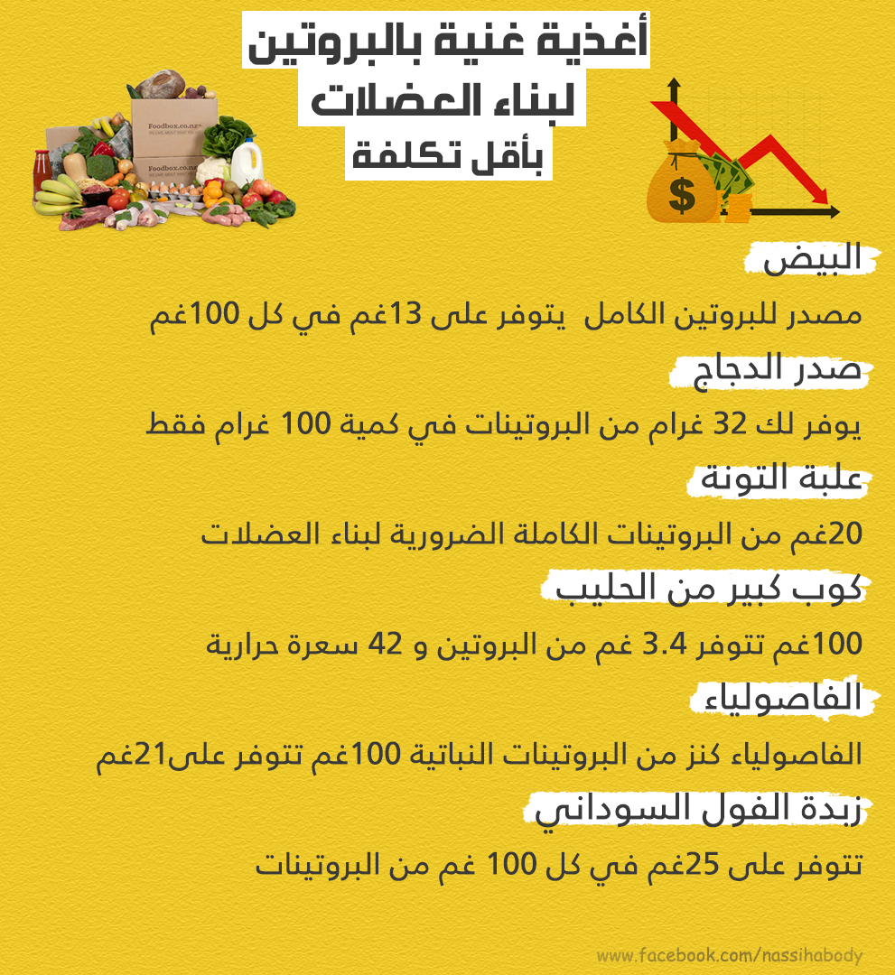 Basic Gym أغذية غنية بالبروتين لبناء العضلات بأقل تكلفة Facebook
