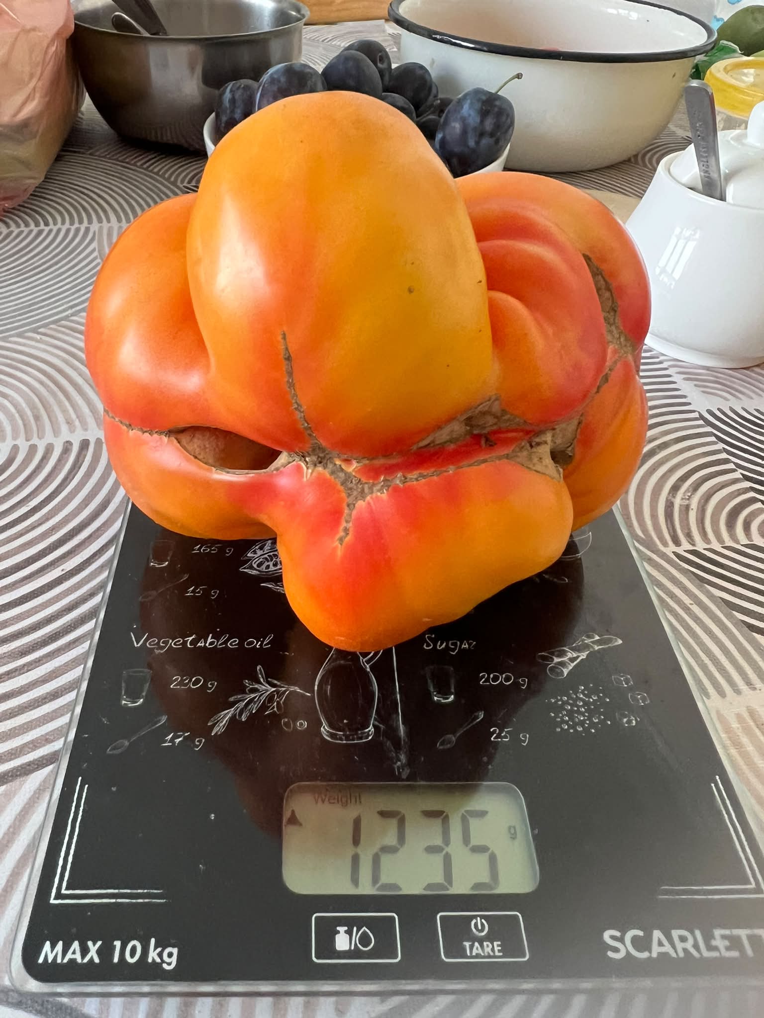 ЛЕЖКИЙ, ранній, до 50см, близько 100г червоні глянцеві кульки