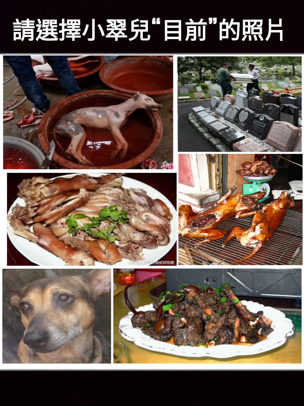 小翠兒地獄迷因系列