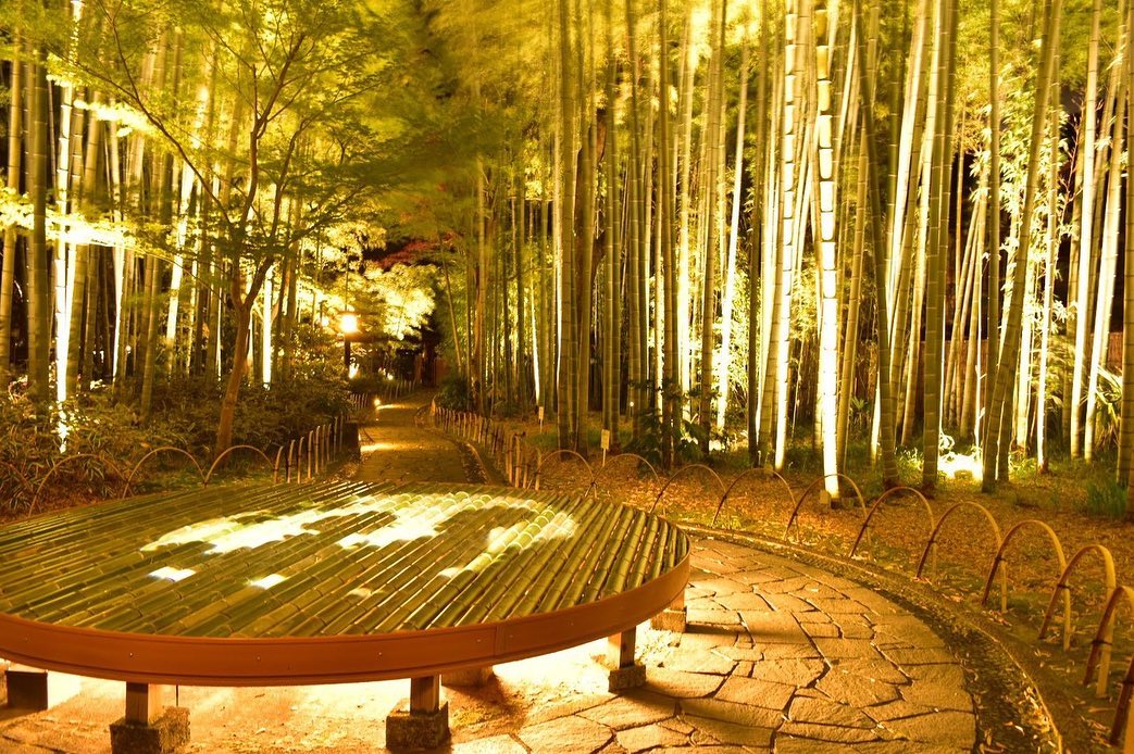 伊豆市 修善寺ナイトウォーク 竹林の小径 修善寺温泉 夜の映えスポット Facebook