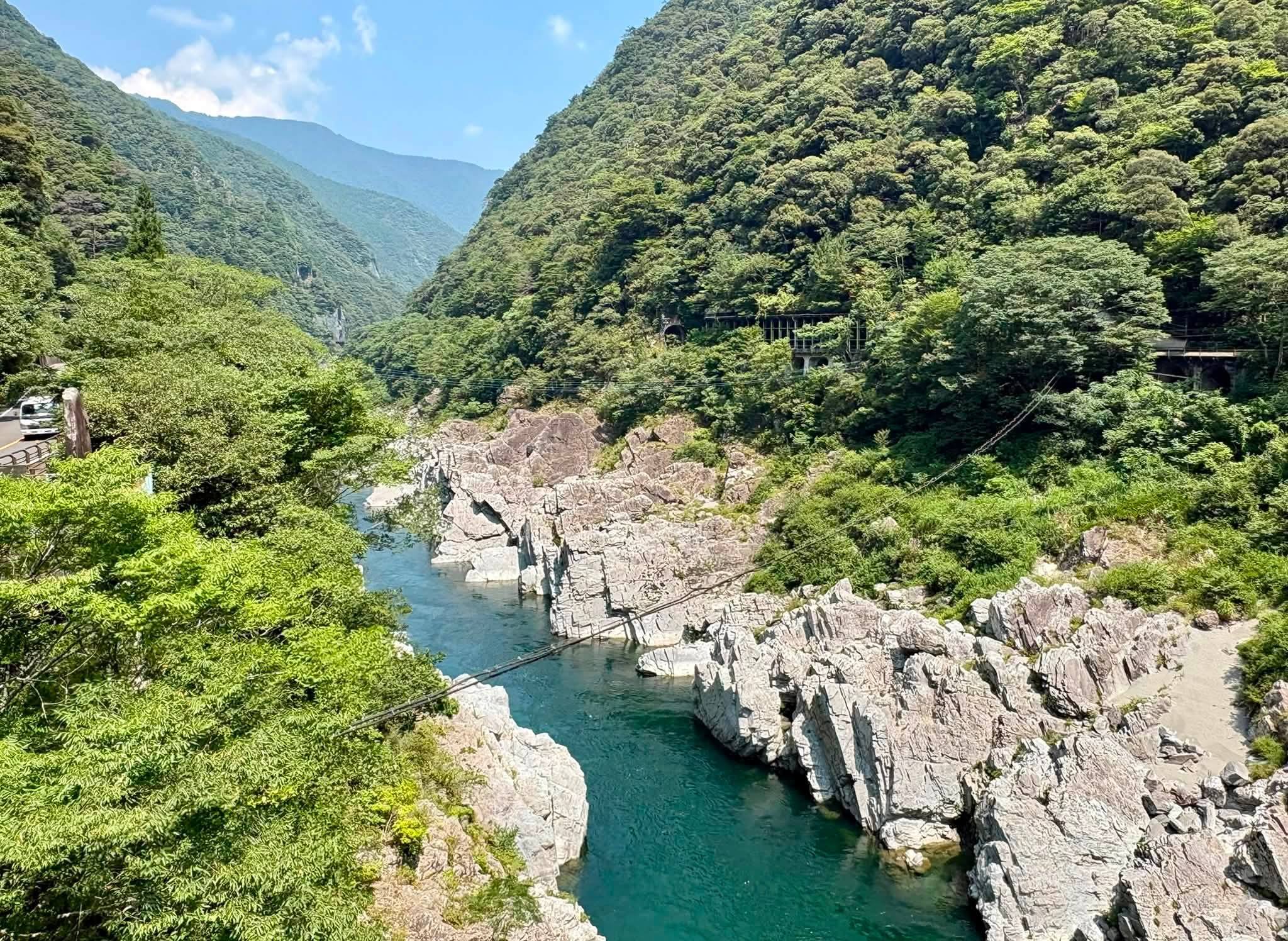 苔と石の世界
