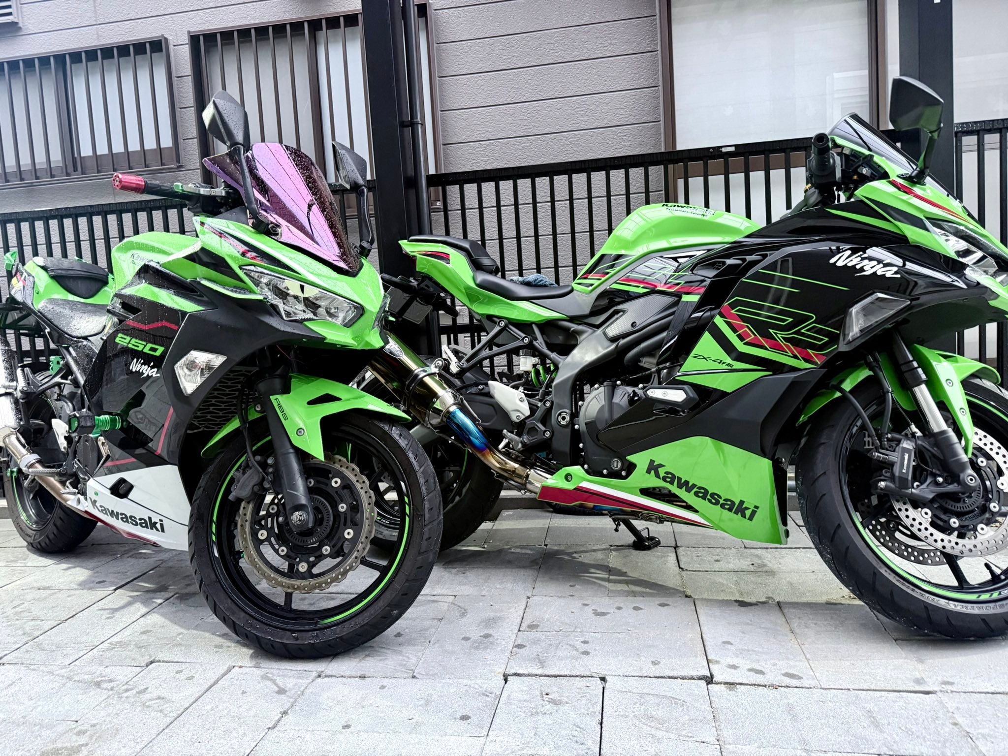 Kawasaki Ninja 250 and ZX-4RR owner in Japan