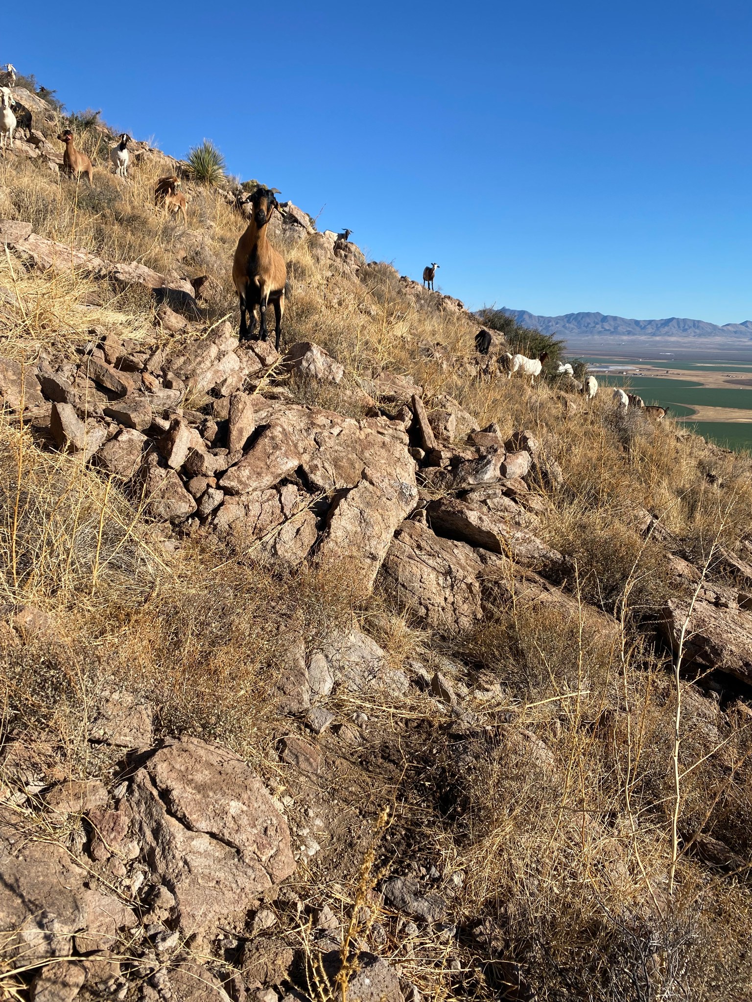 3 Sisters Ranch