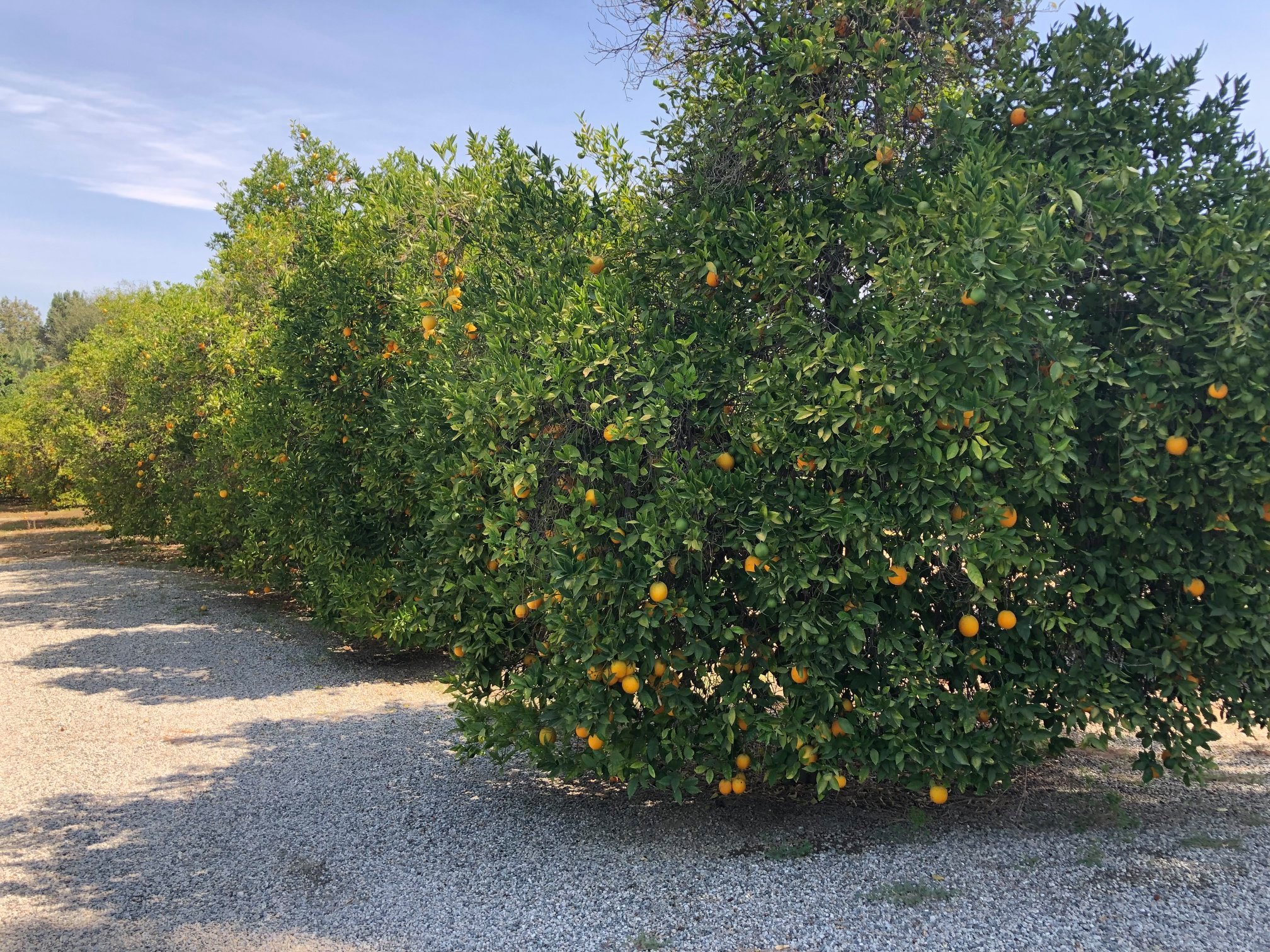 UPDATE ON BOTHWELL RANCH-... - Councilmember Bob Blumenfield | Facebook