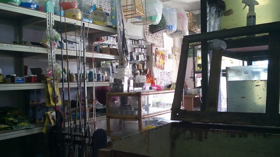 Petshop Temerloh Home Facebook