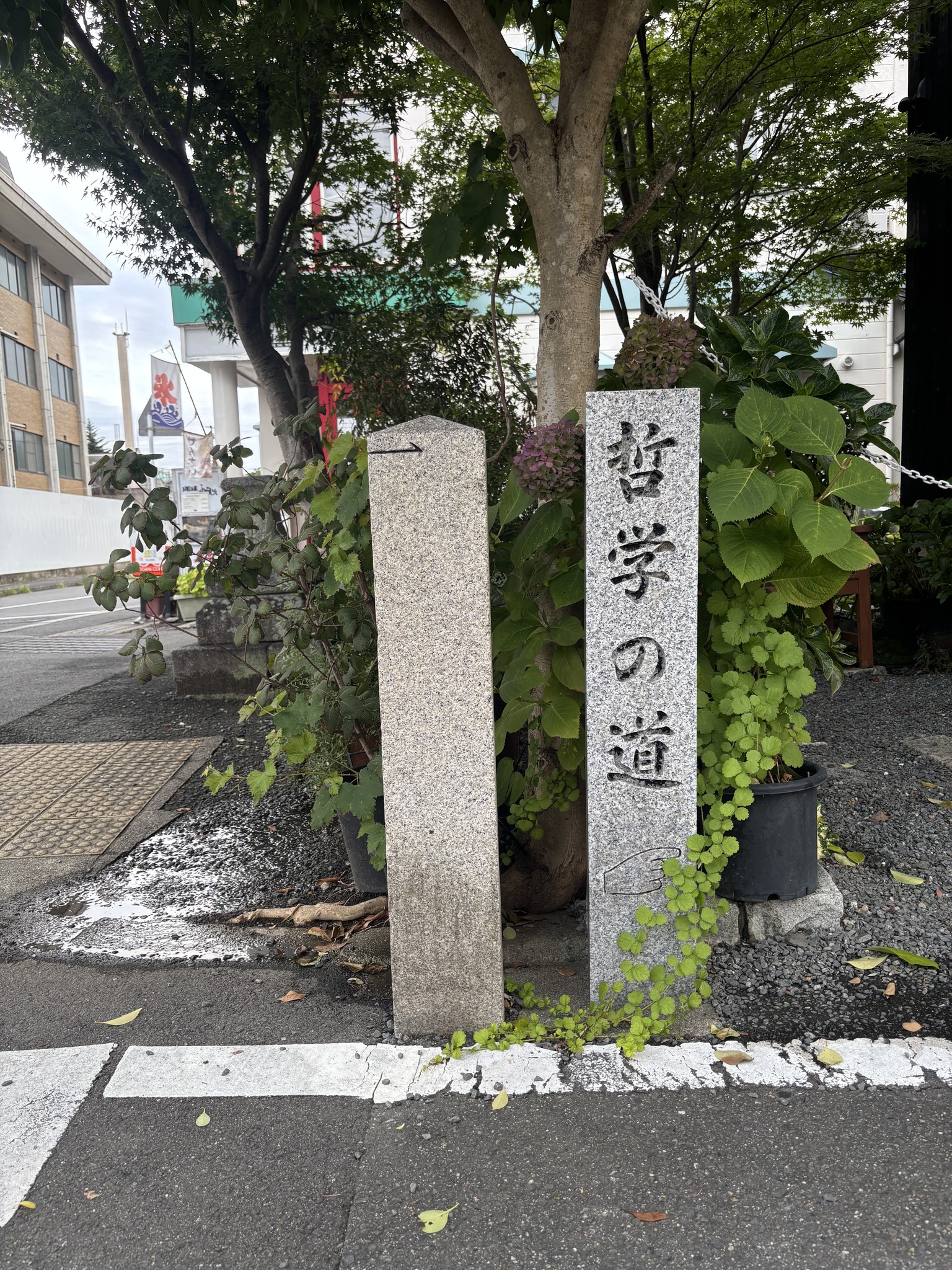 こういうの残しておくタイプです。