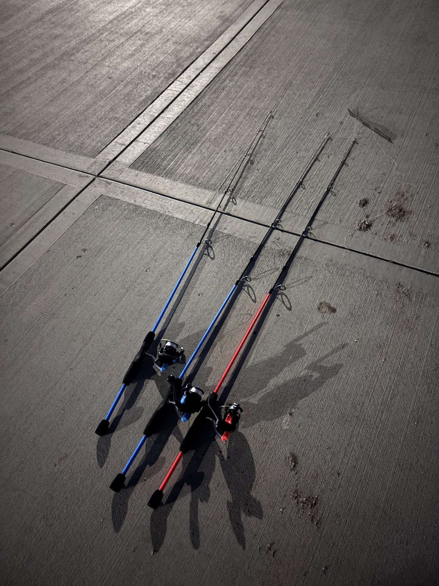 another word for fish landing pole Titan Net Land trophy catfish and other freshwater fish with confidence using the XTN Extender Landing Net from Whisker Seeker Tackle Esox - Wikipedia