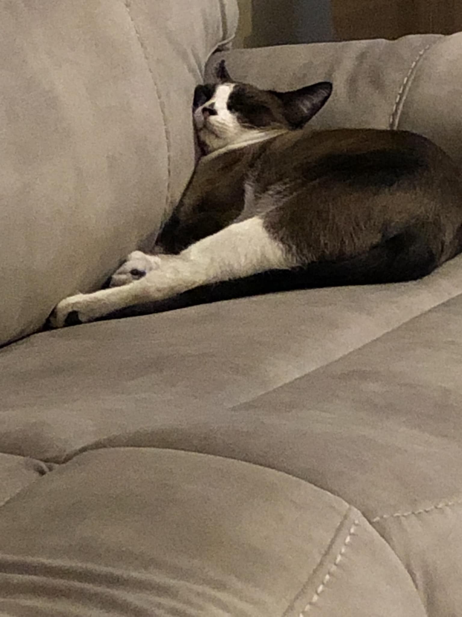 Evil-Lyn's unique sleeping habit