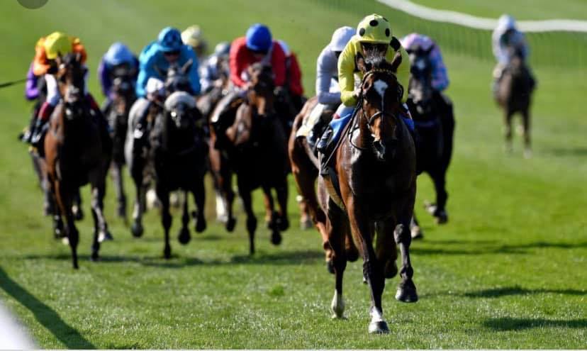 Red hot horse racing tips
