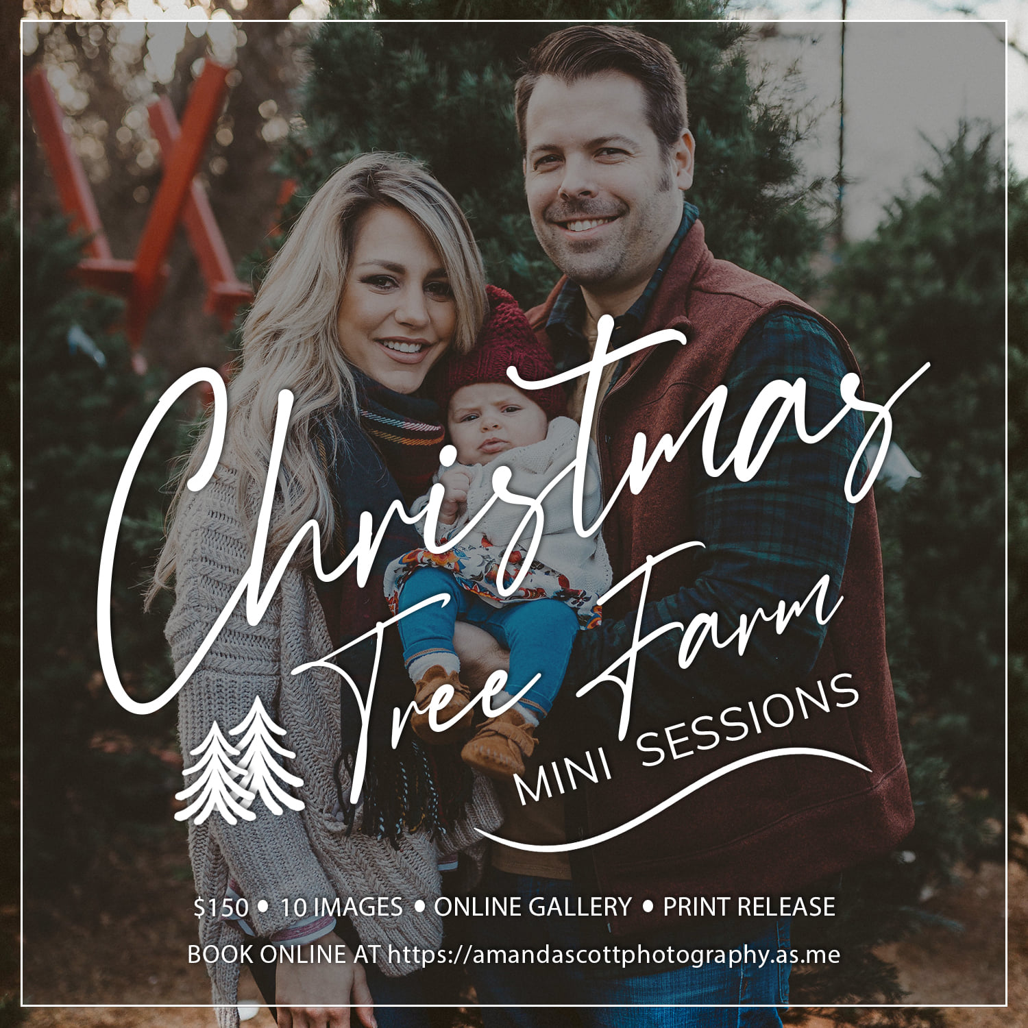 Wells Christmas Tree Farm | Norman OK