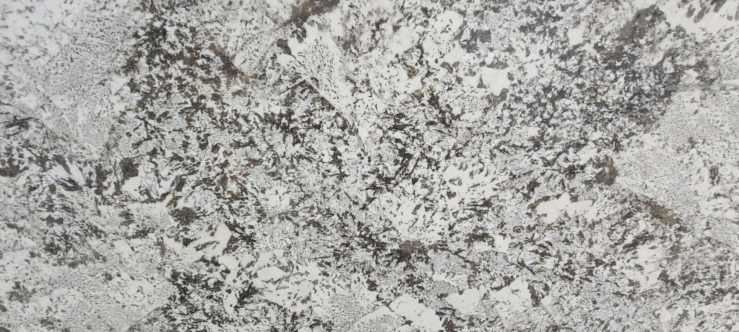 The Bad Lizard Slab of... - Bad Lizard Granite & Quartz, LLC