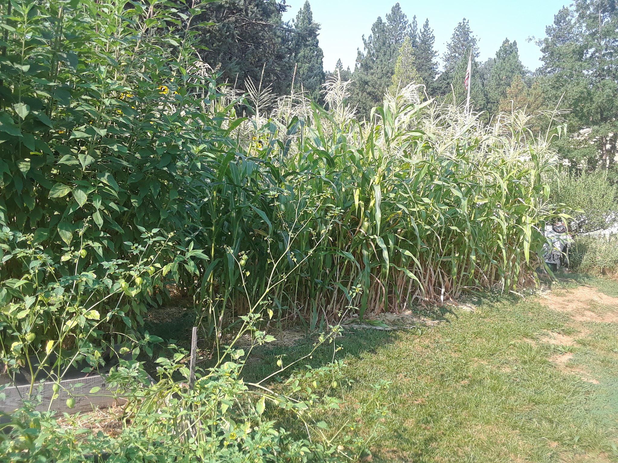 West Point Community Garden | West Point CA