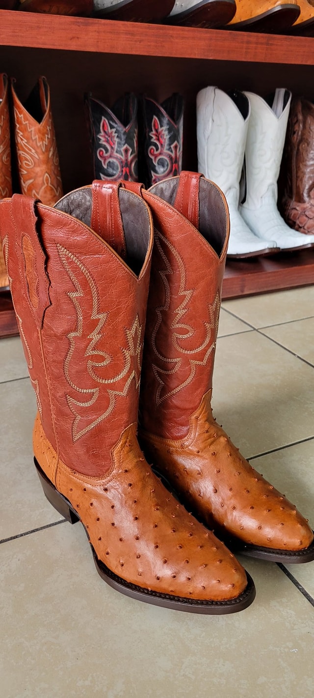 JW Ranch Lety Aranda | León