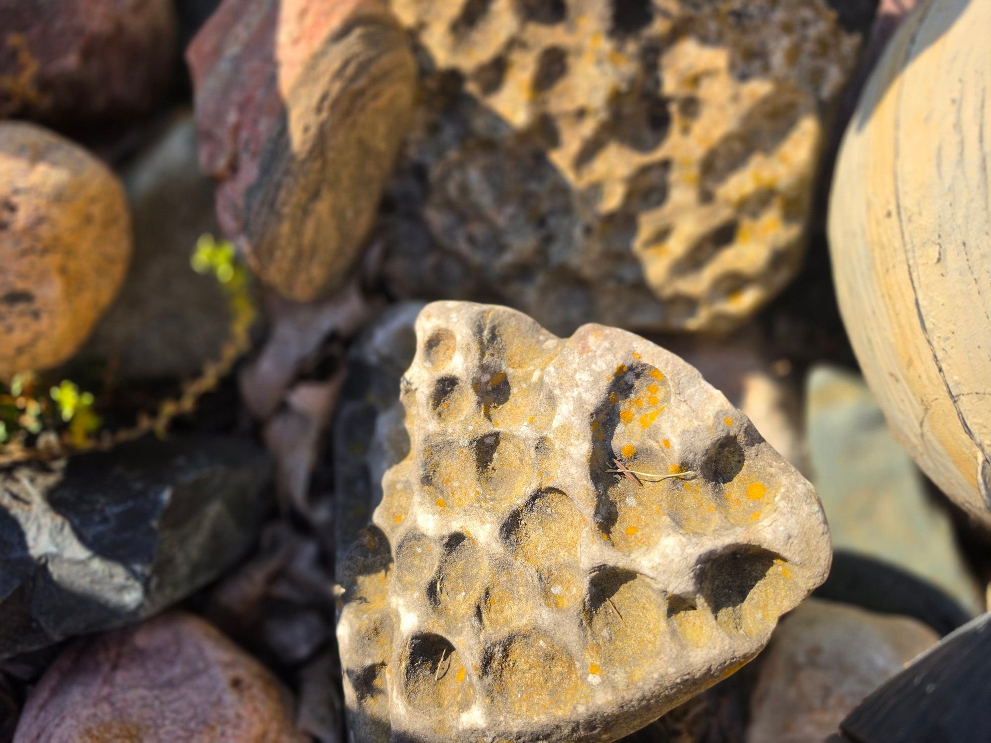 Rocks like this found in UP, past Hessel | Michigan