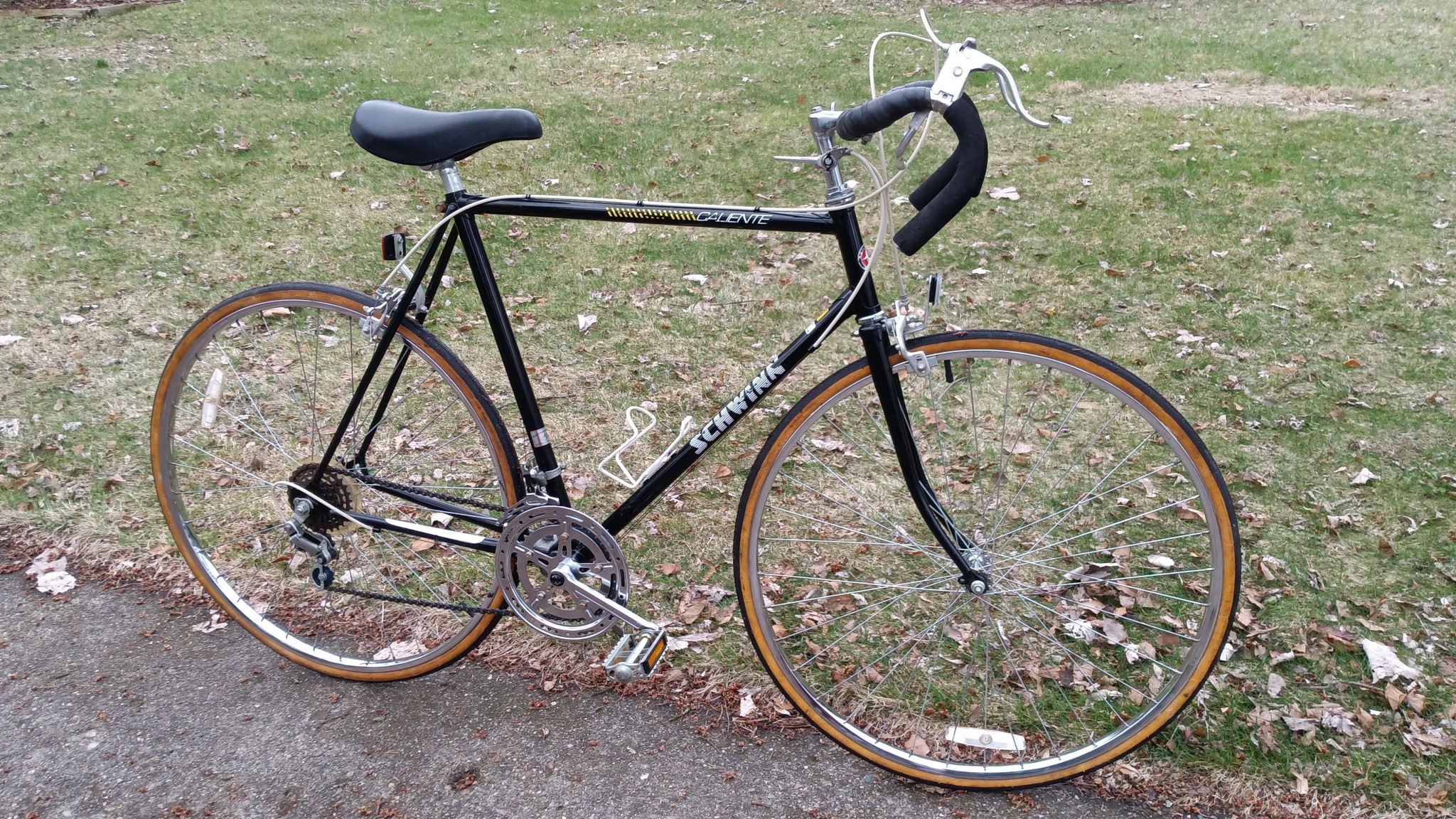 schwinn caliente bicycle Pink Pearl City Bike for Procuring Baguettes and Stin – Coco's Variety Found Schwinn Caliente in Garage,