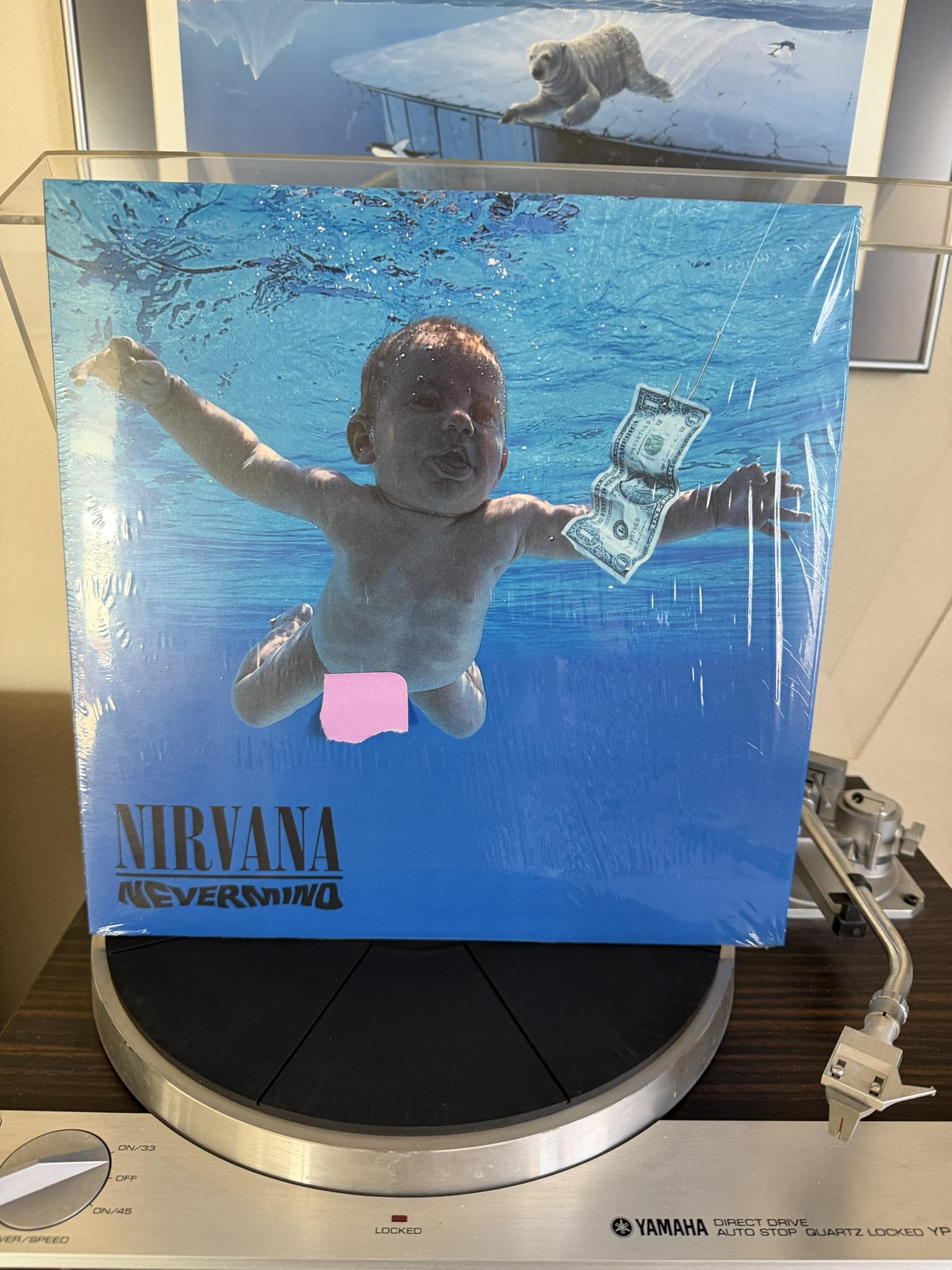A Nirvana bootleg I bought years ago. Bought it mainly for the cover