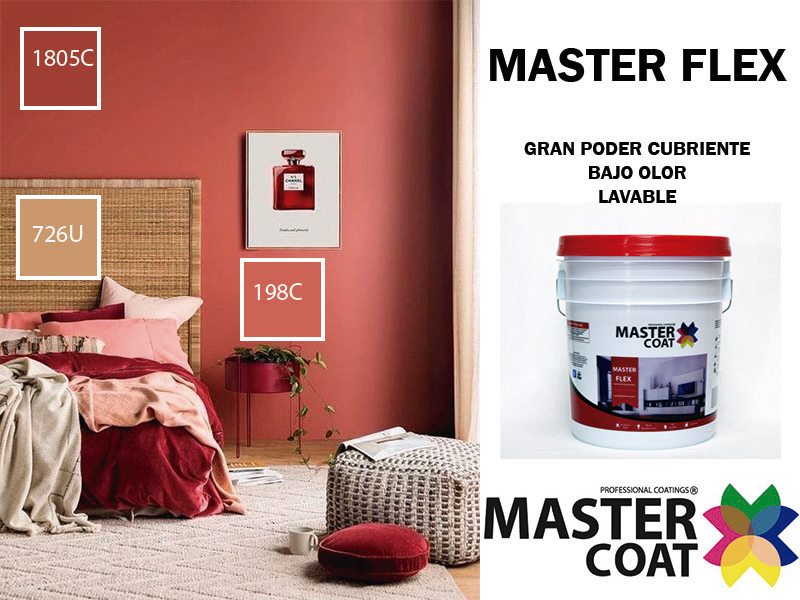Master Flex es una... - Master Coat Fabrica de Pinturas