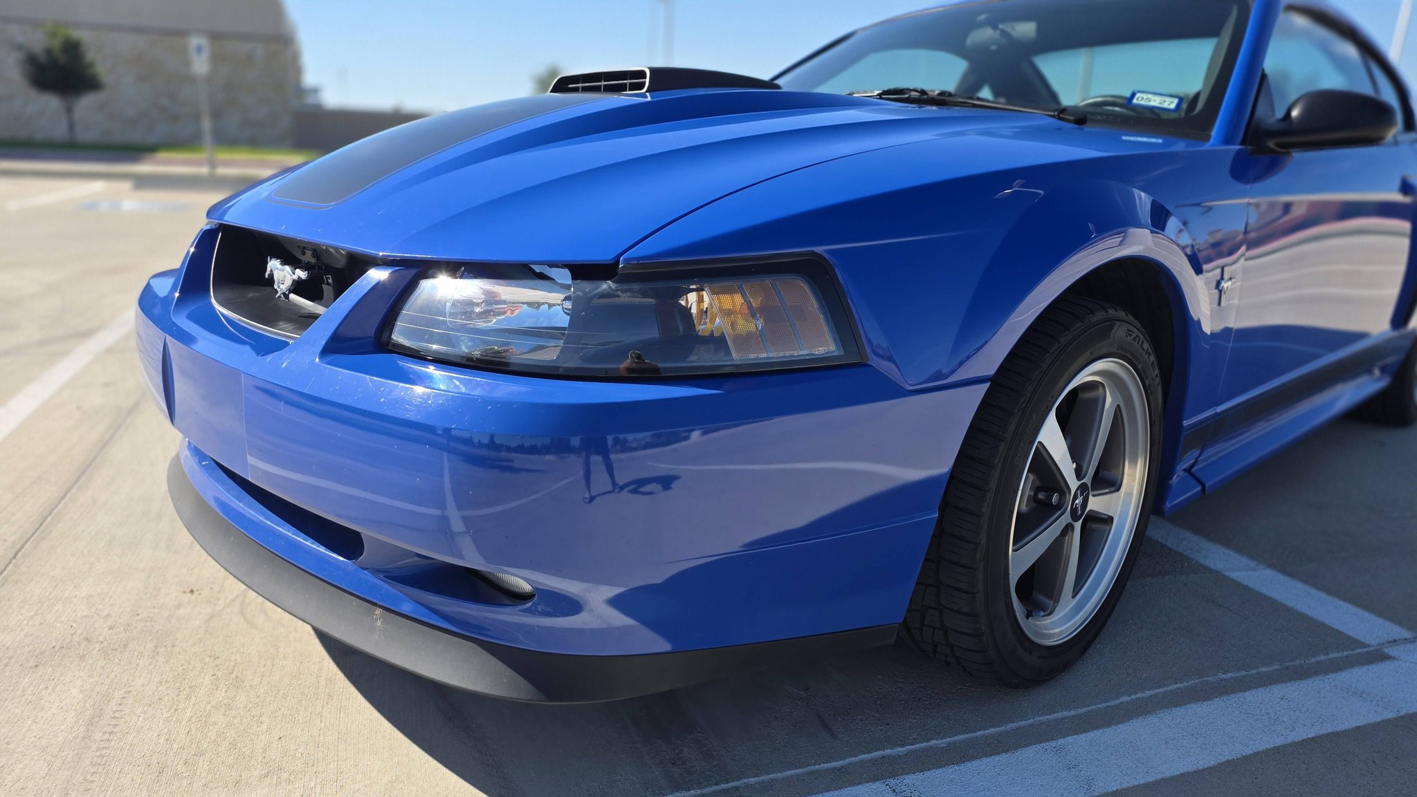 Updating pics and info 2003 Mach 1 Azure Blue 5spd with IUP with