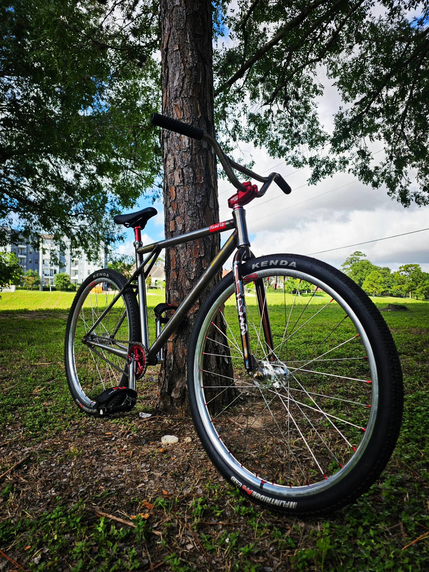 Get outside and ride today! One from my collection. Custom Nemesis