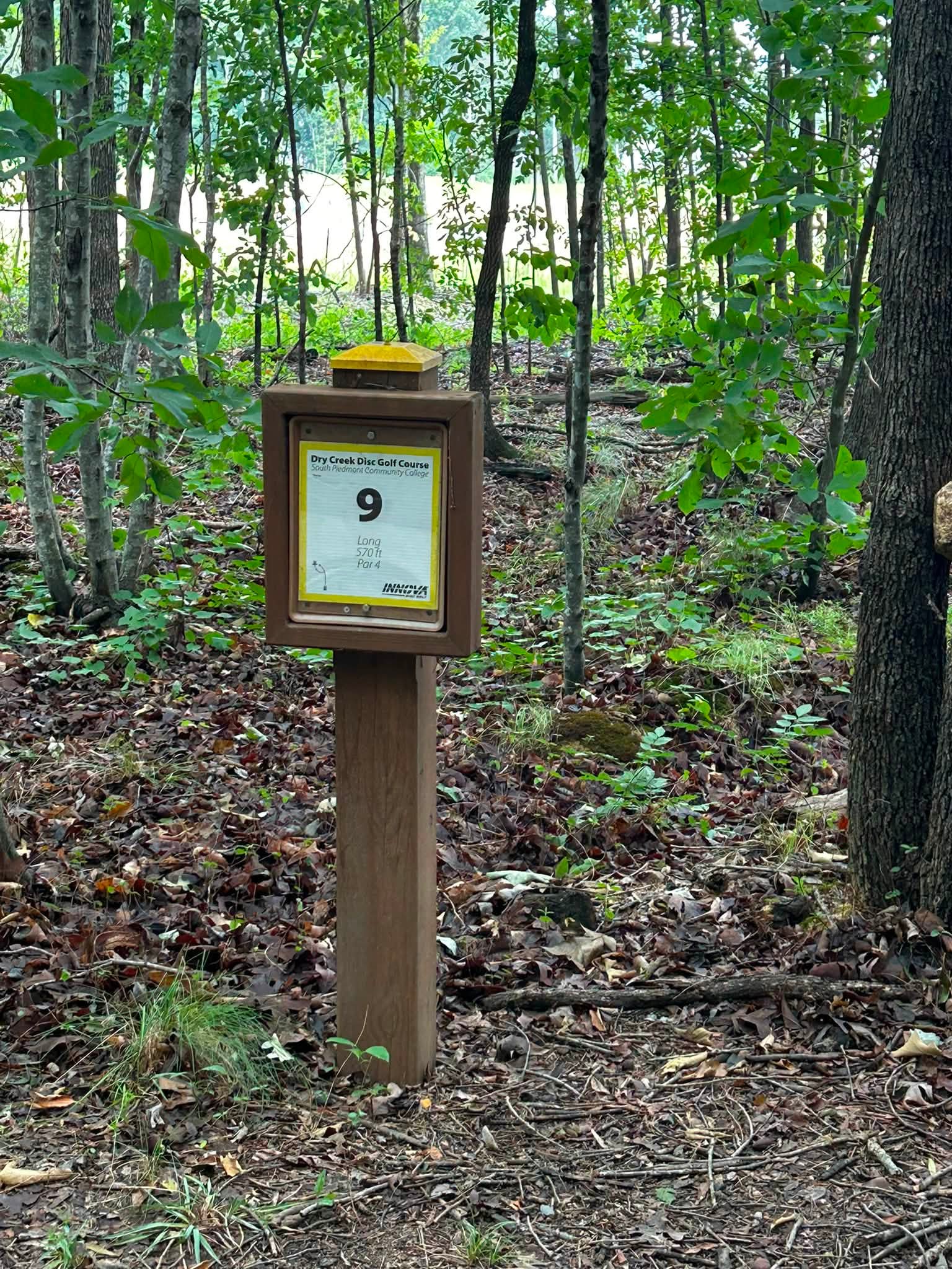 Be careful hole 9 long bench! Wasp nest underneath!