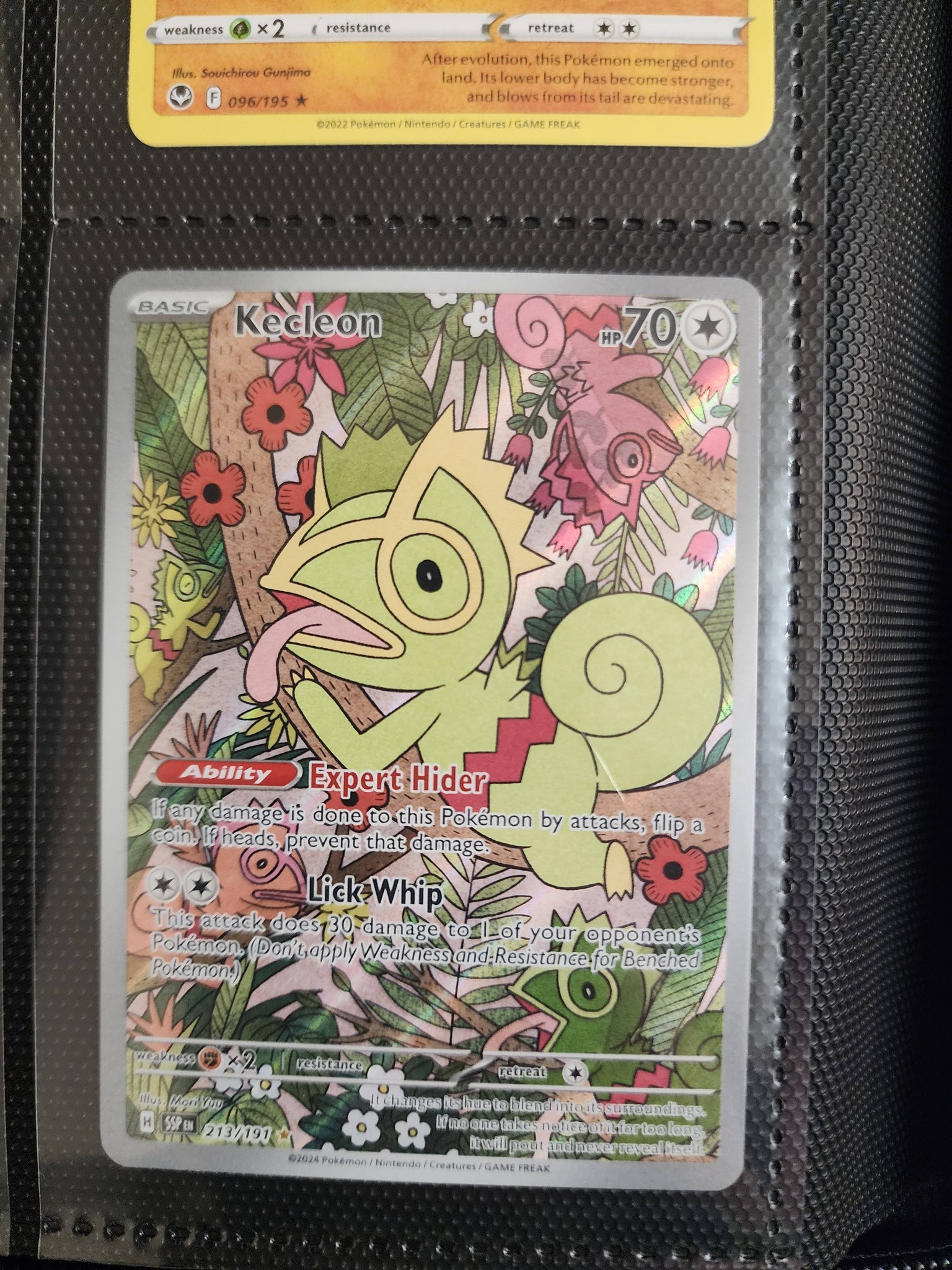 pokemon full art cards 5 (Japanese) **Limit 4 per order since these require a bit of time for us to put together and make it unique and enjoyable for each pack Studies from the Bulbasaur full