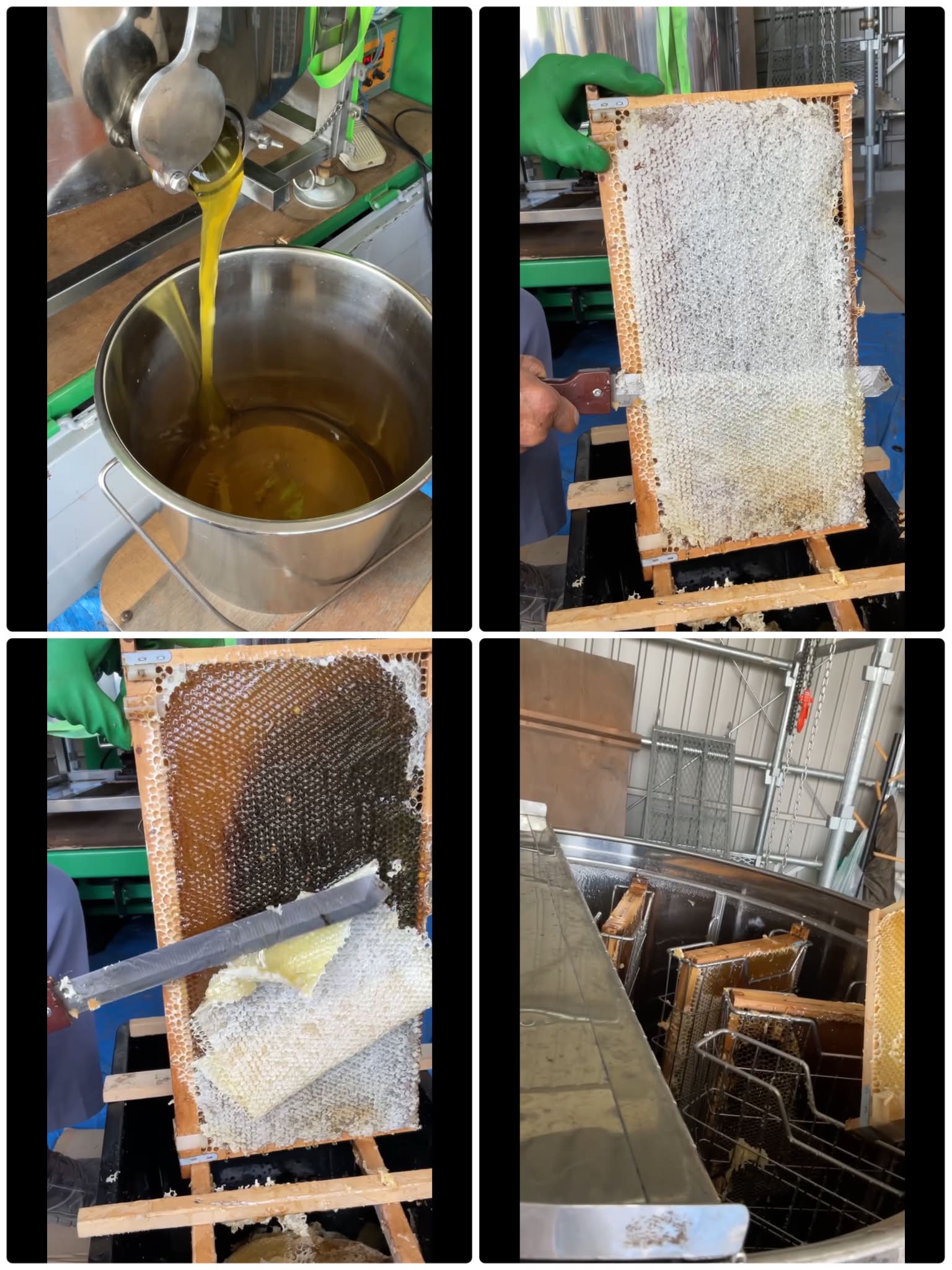無農薬栽培・農家直送マルシェ】 | Facebook
