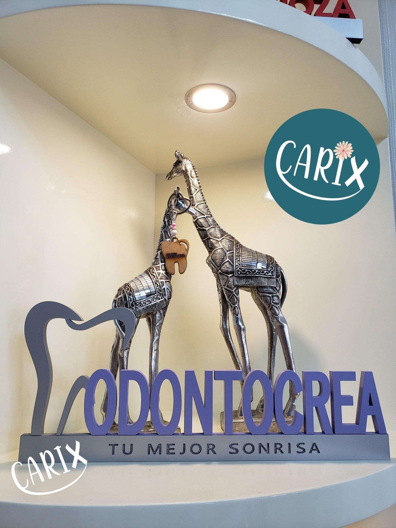Carix - 👨‍⚕️DISEÑOS ESCRITORIO 👩‍⚕️ 🌟PERSONALIZADO CON TU...