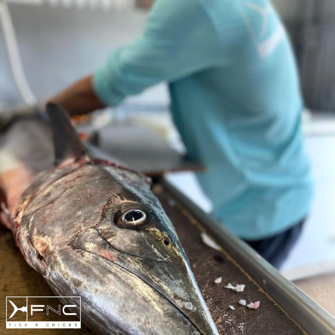 FNC - Fish N Chicks Co.