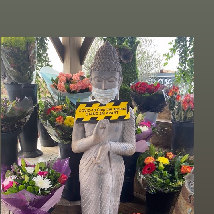 Box Trees Flowers | Solihull