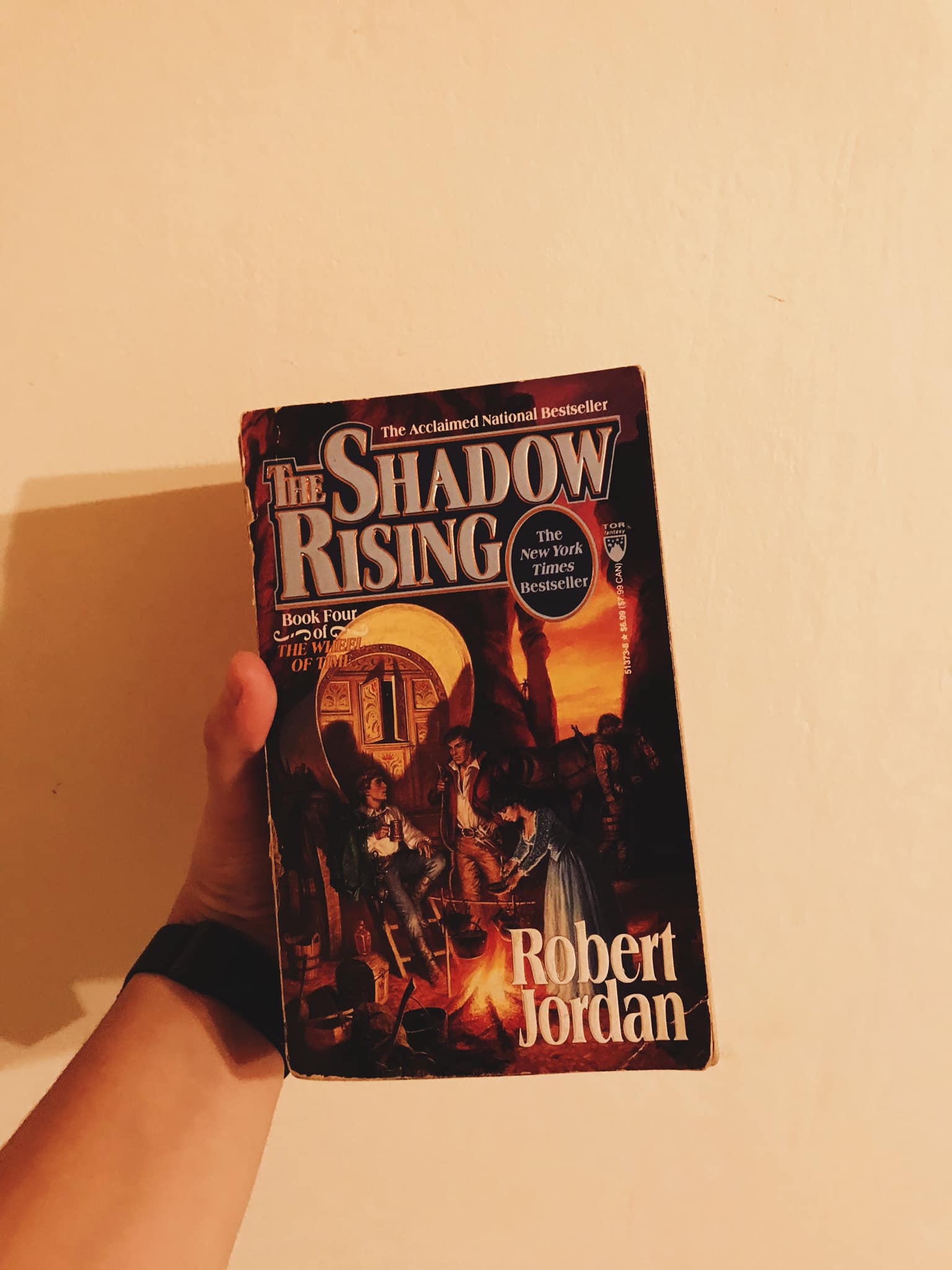 Finished reading the sorcerer's shadow novel