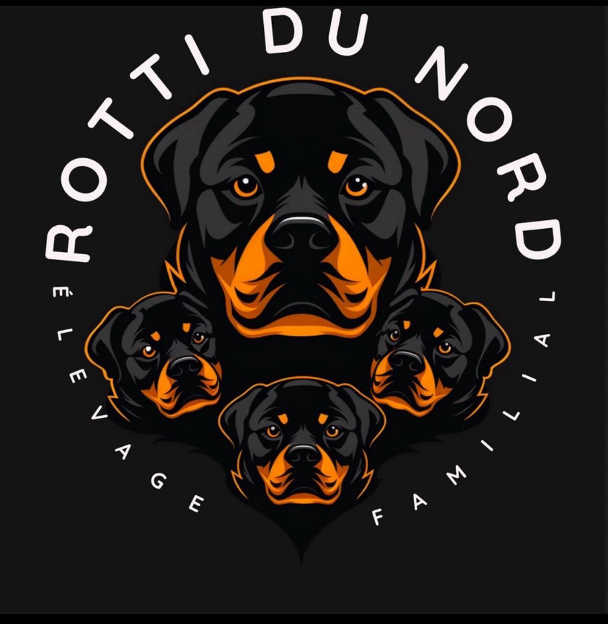 Rotti du Nord