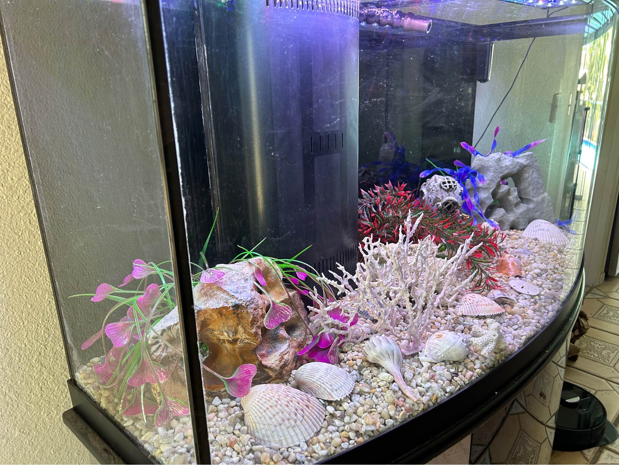 72 gallon bow front aquarium - Aquariums - New Port Richey, Florida ...