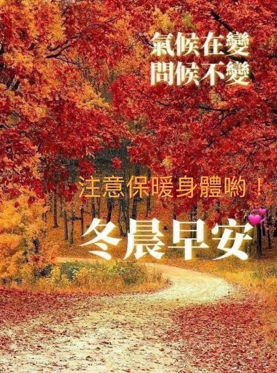 嗨～你好！早安 午安 晚安美圖分享 | 🌺#朋友們週三早安順心如意🌺 | Facebook