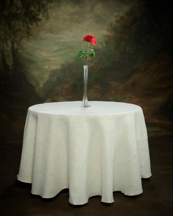 Premier Table Linens | Miami FL