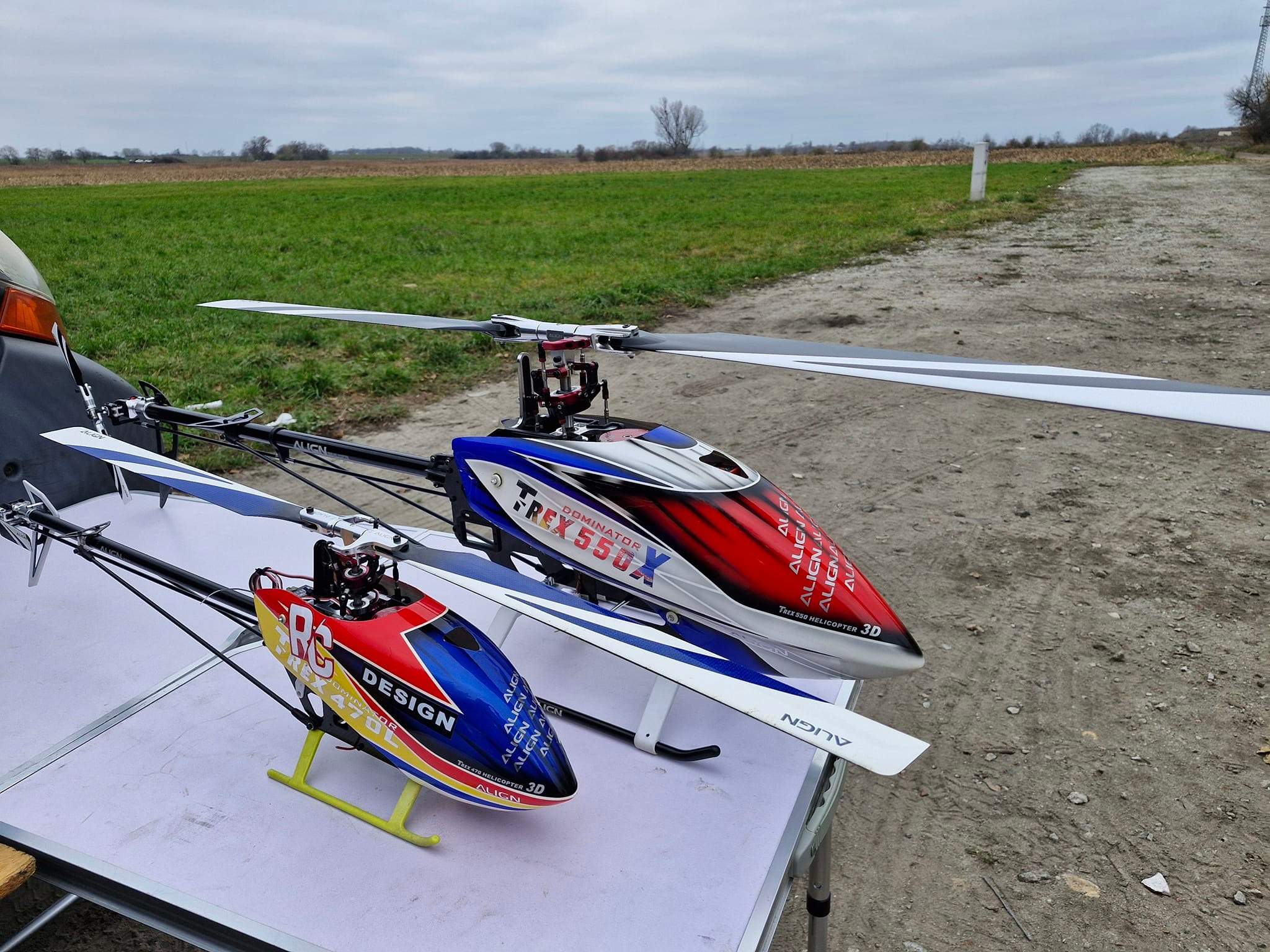 Testing my new Align T-Rex 550 Dominator helicopter