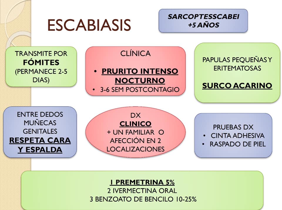 Dr. Re - ESCABIASIS Y PEDICULOSOS. Tema 100% basado en GPC...