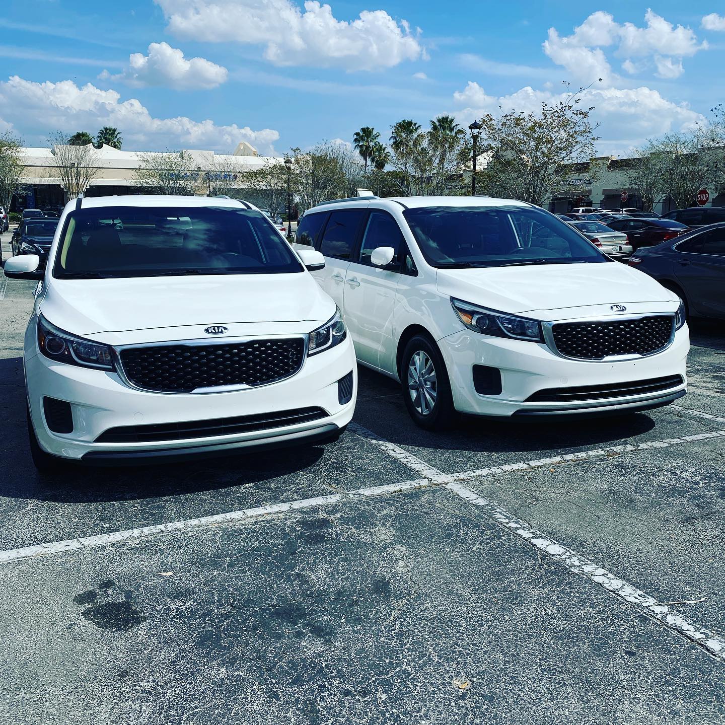 Prime Rental Car | Orlando FL