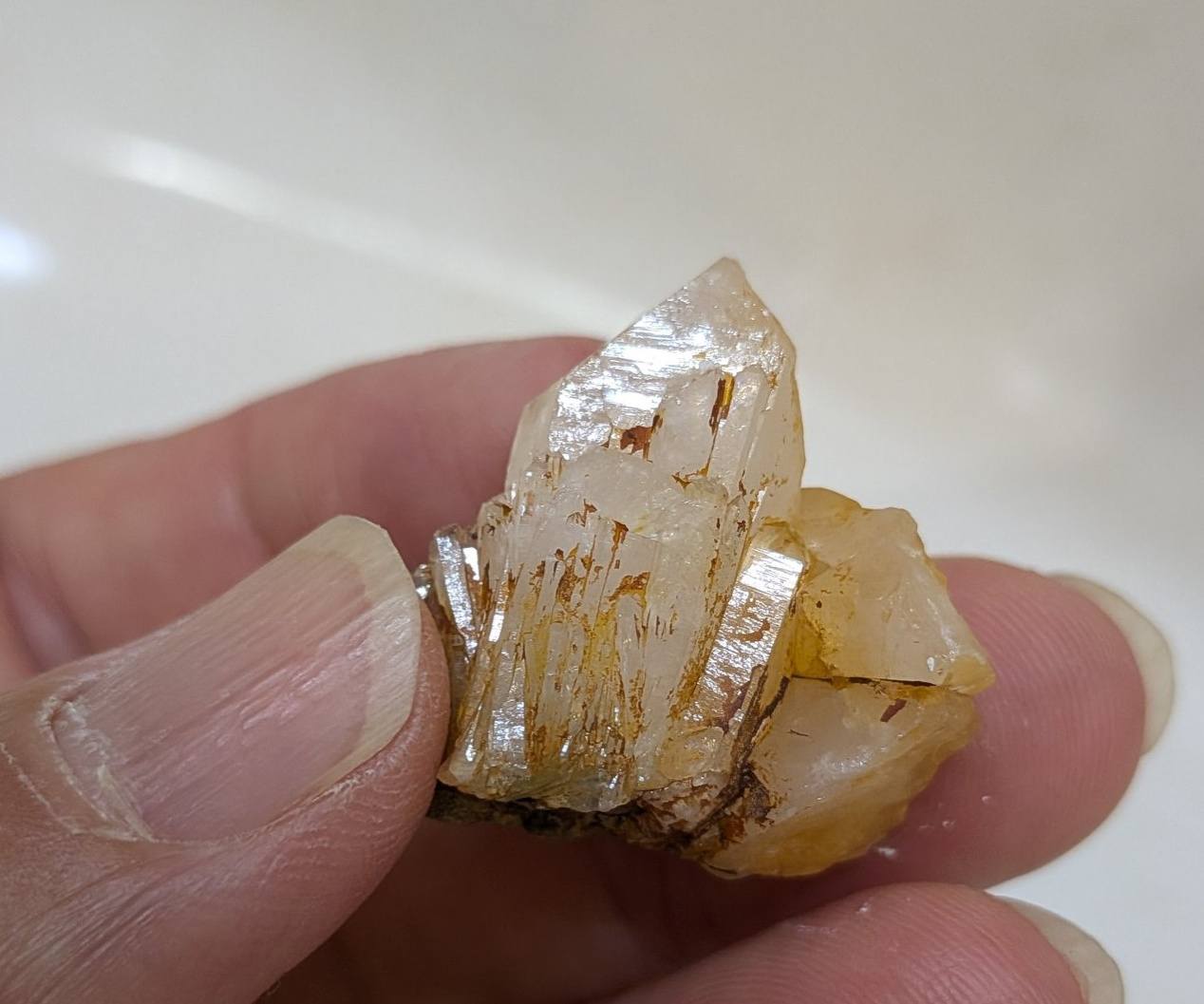 津軽鹿の子石👍。 爺は、この模様に癒されています。