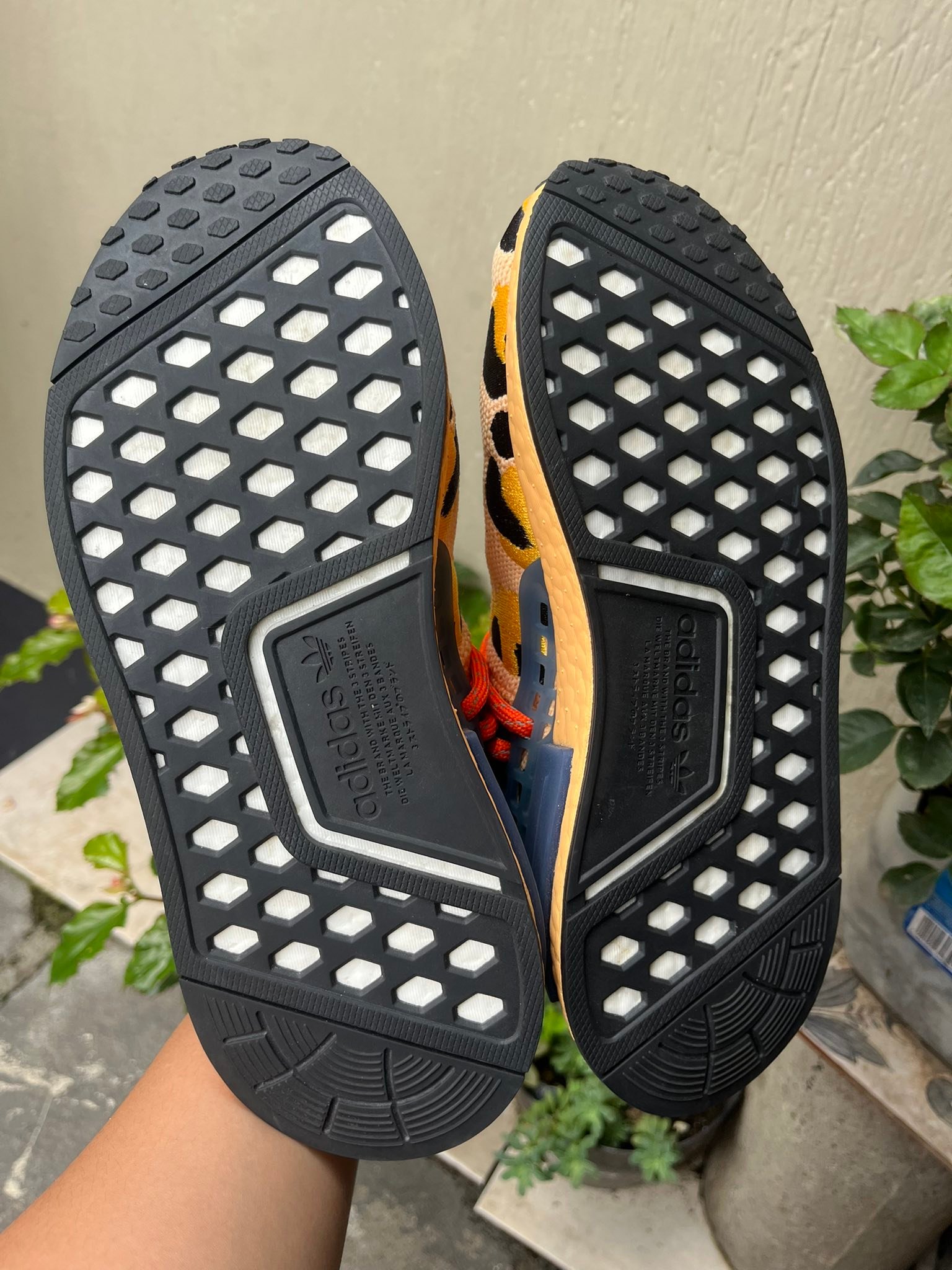 Se venden Adidas Pharrell “Animal Print” 👟 5 US (23cm) 📏 Envío