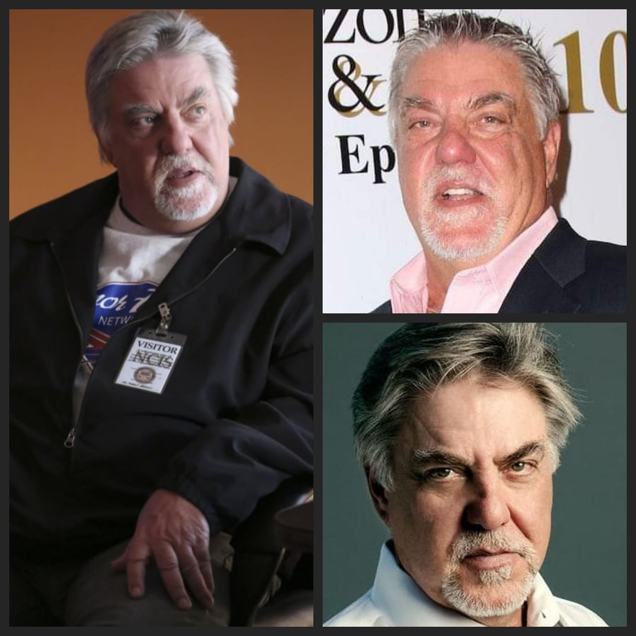 Femi - Bruce McGill (Actor) Is 73 Today Wishing American actor Bruce ...