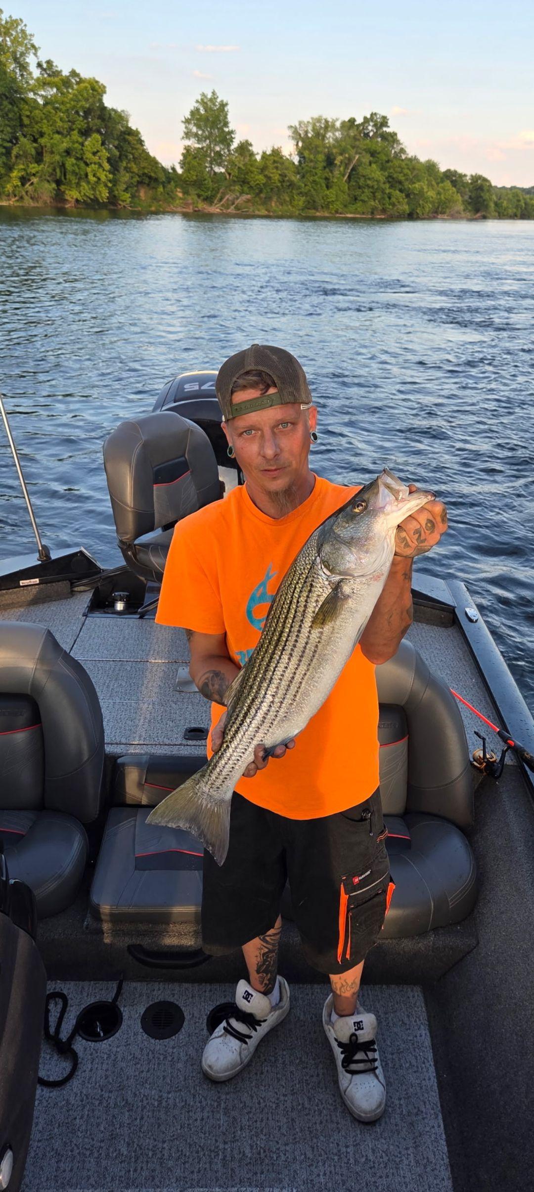 saltwater fishing rod ugly stik Inshore Select Spinning and specially built with bowfishing Reccomend a few decent Colors:super natural